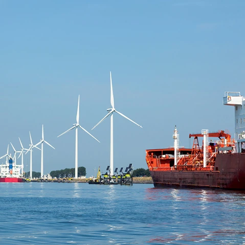 Kies de opleiding sustainability die bij u past